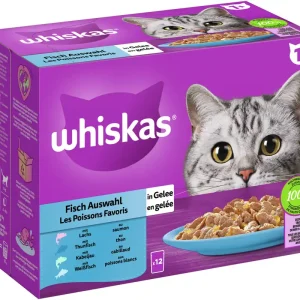Whiskas 1+ Fischauswahl in Gelee 12 x 85 g Multipack Sonderangebot